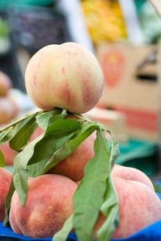 Photo of delicious fresh peaches