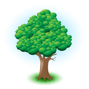 Big tree with green leaves isolated on a white background