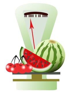 fruit of an ancient scale