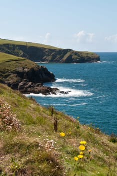 view of the coast of Port Isaac in Cornwall