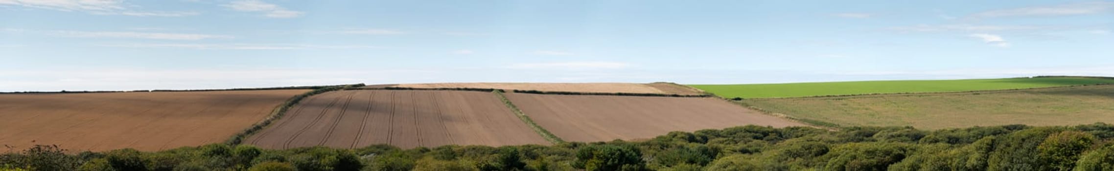 Agriculture in the fields of Port isaac in cornwall
