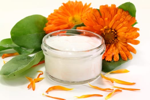 a pot of calendula ointment with fresh flowers