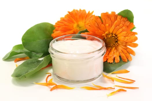 a pot of calendula ointment with fresh flowers