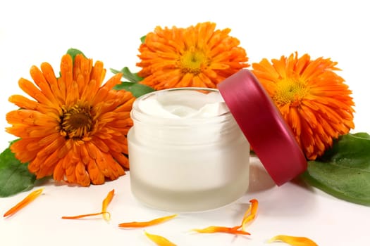 a pot of calendula ointment with fresh flowers