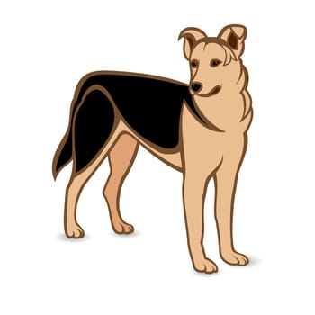 Realistic German Shepherd. Illustration on white background
