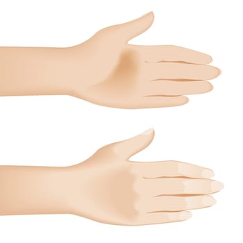 Open hands isolated on white. Illustration on white background