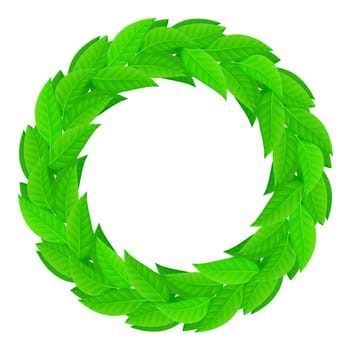 A wreath of green leaves. Illustration on white background