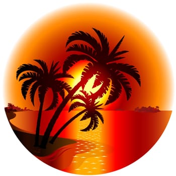 Sunset on a tropical island. Illustration on white background