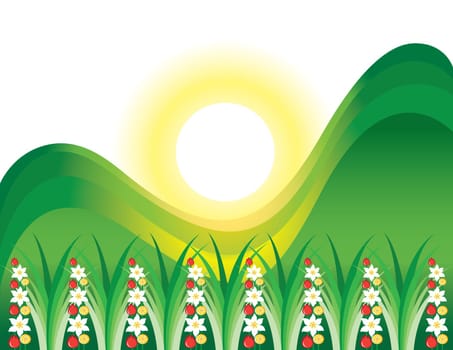 Abstract flowering grass in the sun. Illustration on white background