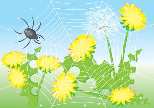 Cartoon spider and dandelions. Illustration for design
