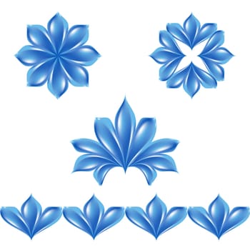 Set of different petals isolated on white background