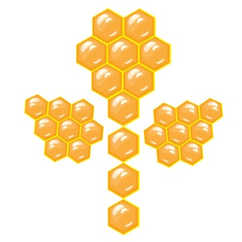 Honeycomb flower. Vector illustration on white background