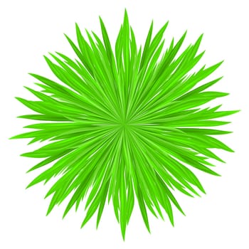 Vector illustration of grass frame. Green circle