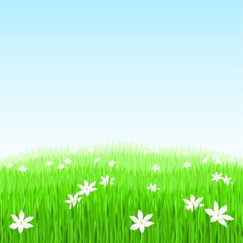 Illustration of Green grass with white flowers