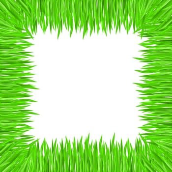 Vector illustration of grass frame. Green square