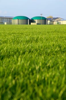 Biogas plant