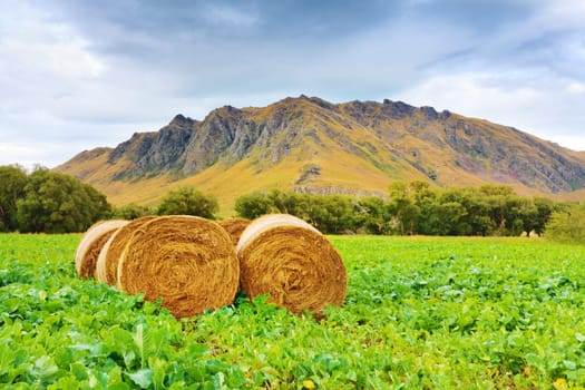 Rural lanscape. Golden Hay Bales on the foreground