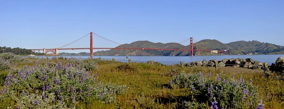 Golden Gate Panorama