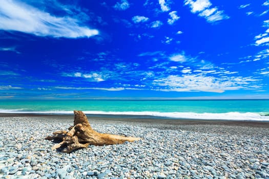 Coast of the Tasman sea