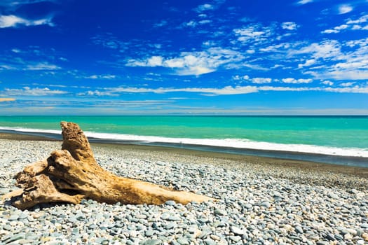 Coast of the Tasman sea