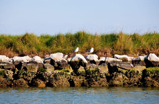 Grado lagoon, Friuli Venezia giulia - Italy