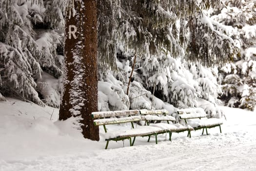 snowed in on the Rennsteig