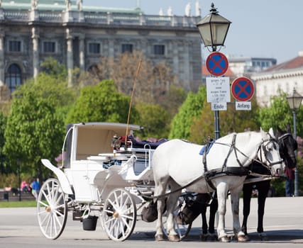 Fiaker in Vienna,historic horse-drawn carriage as a means of transport
