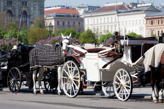 Fiaker in Vienna,historic horse-drawn carriage as a means of transport
