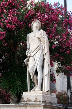 Statue, red flower on background - Catania cathedral