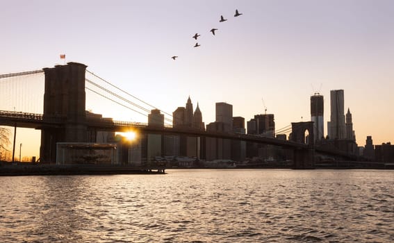 Lower Manhattan at sunset with birds flying over Brooklyn Bridge