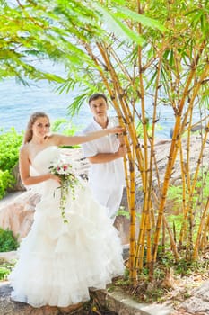 Bride and groom on the beach. Tropical wedding