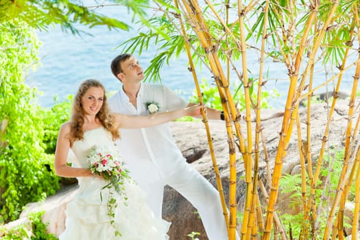 Bride and groom on the beach. Tropical wedding