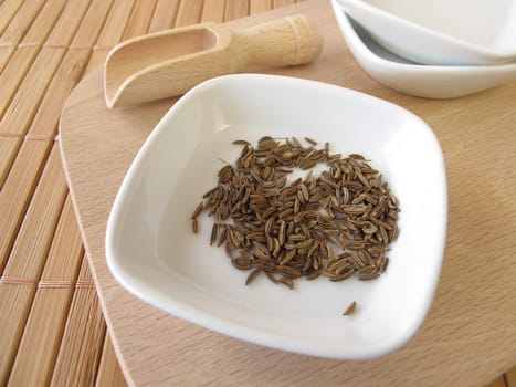 Caraway,Carvi fructus
