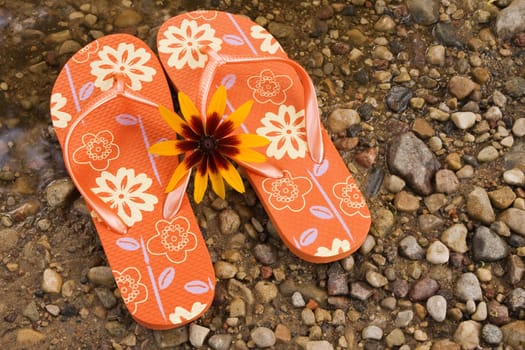 flip flops and yellow flower beside the river