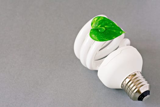 eco lightbulb with green leaf on grey background