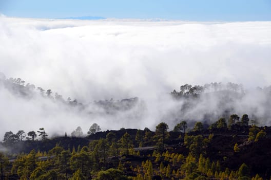 Mystical landscape