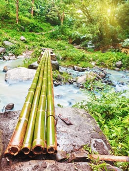 Bamboo bridge in the jungle