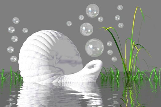 Shell