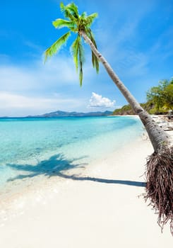 Tropical sandy beach Malcapuya at summer sunny day
