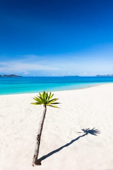 Tropical sandy beach Malcapuya at summer sunny day