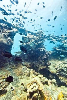 Shipwreck underwater. Sunken gunboat at Lusong Island