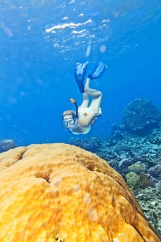 Beautiful woman diver swimming among the coral reef