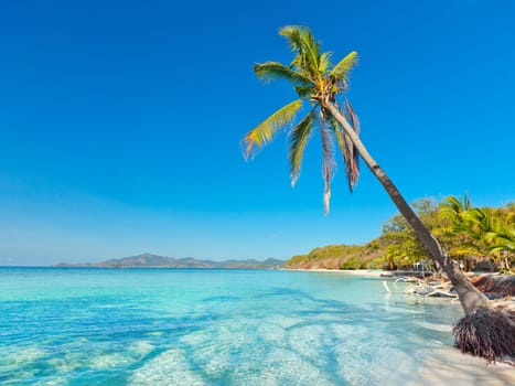 Tropical sandy beach Malcapuya at summer sunny day