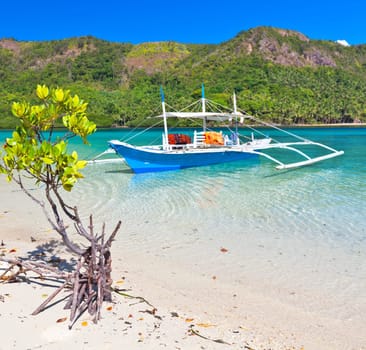Traditional Filipino bangka boat at Snake island