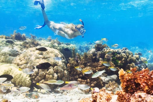 Beautiful woman diver swimming among the coral reef