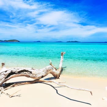 Tropical sandy beach Malcapuya at summer sunny day