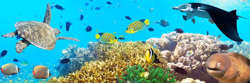 Underwater panorama with turtle, coral reef and fishes