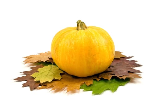 yellow pumpkin and autumnal leaves on white background