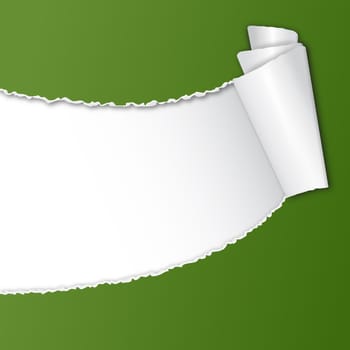 Torn paper with copy space