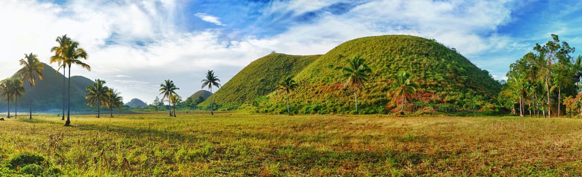 Panorama of The Chocolate Hills. Bohol, Philippines